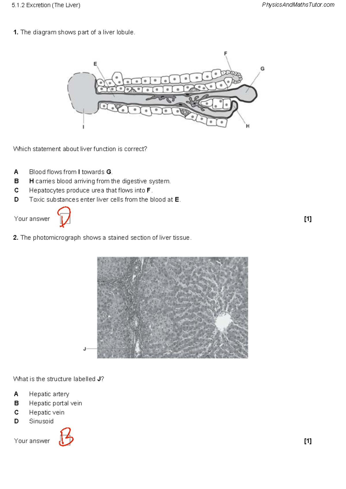 5.1.2 Excretion (The Liver) Question Paper - Studocu