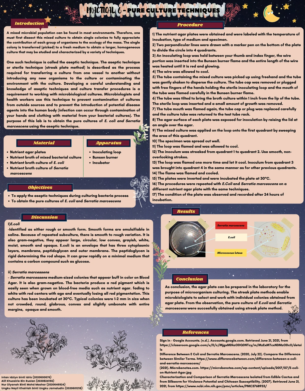 Lab Report Template for MIC125: General Microbiology Practicals - Studocu