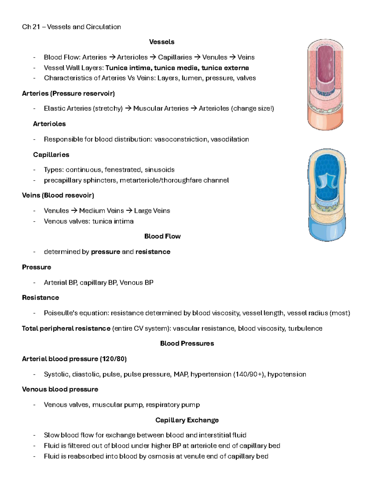 Complément Alimentaire Juvenon Bloodflow-7 - Circulation Sanguine, Oxyde Nitrique