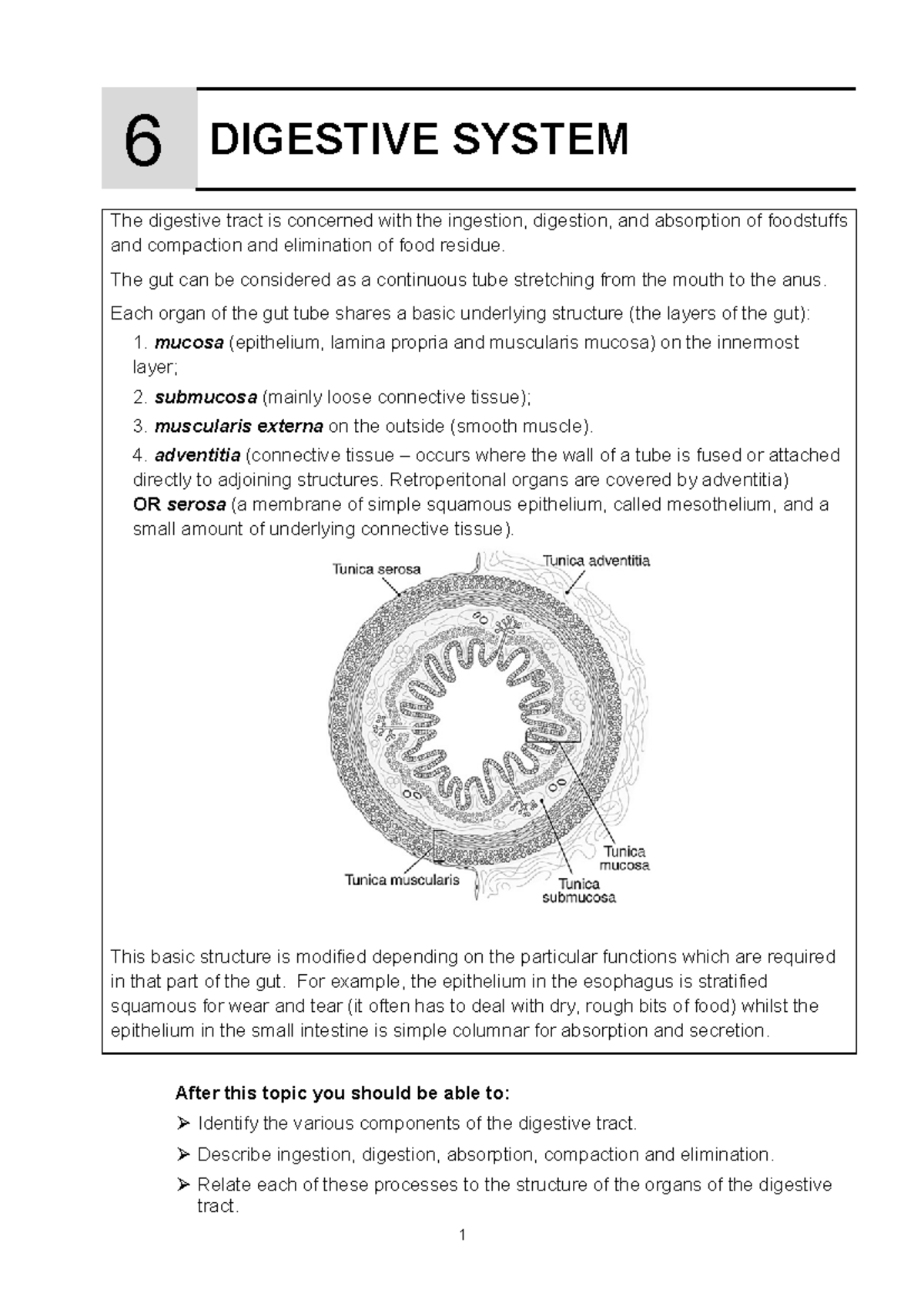 ANHB1102 Human Biology II: Digestive System Overview 2025 - Studocu