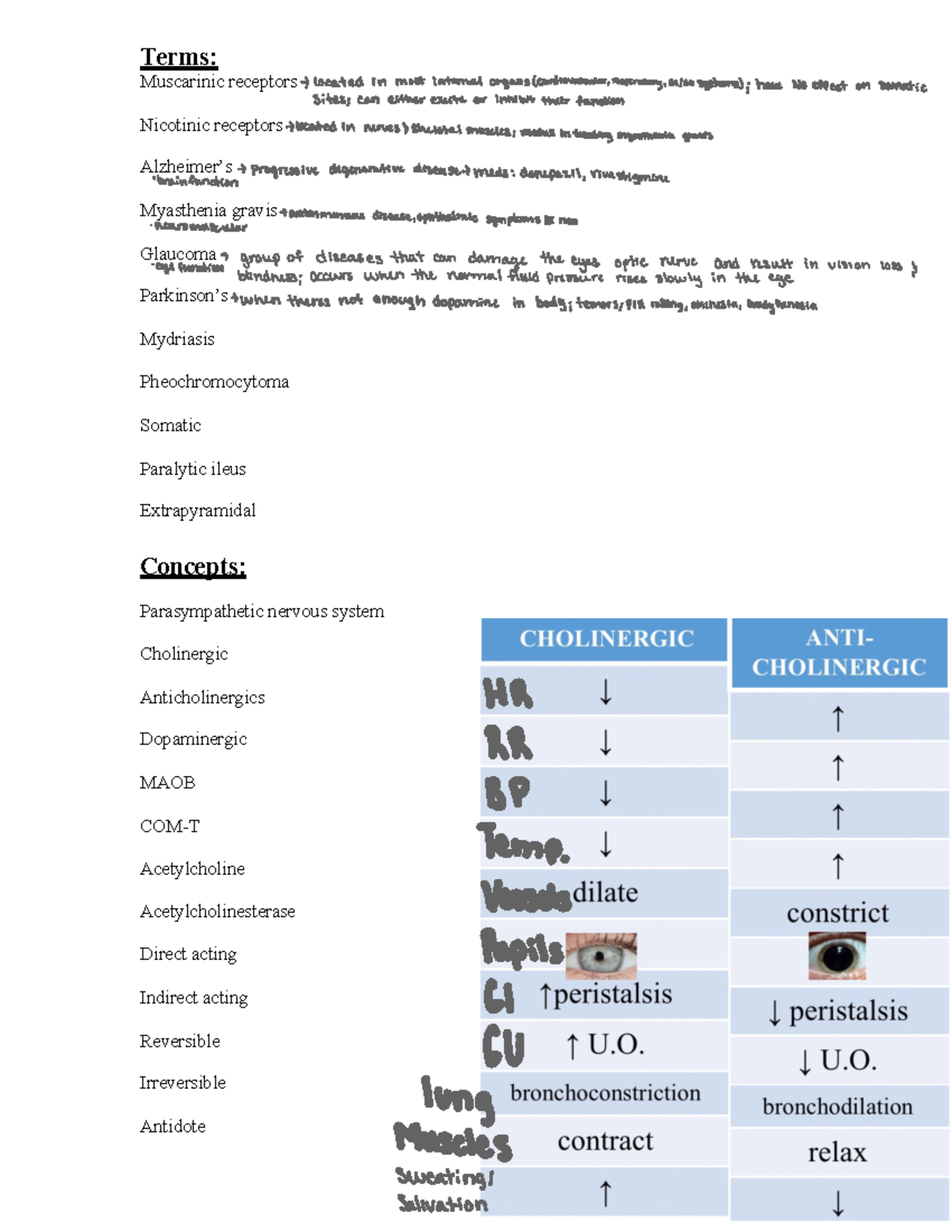 Cholinergic and Anticholinergic Medications Overview for PHARM 61160 ...