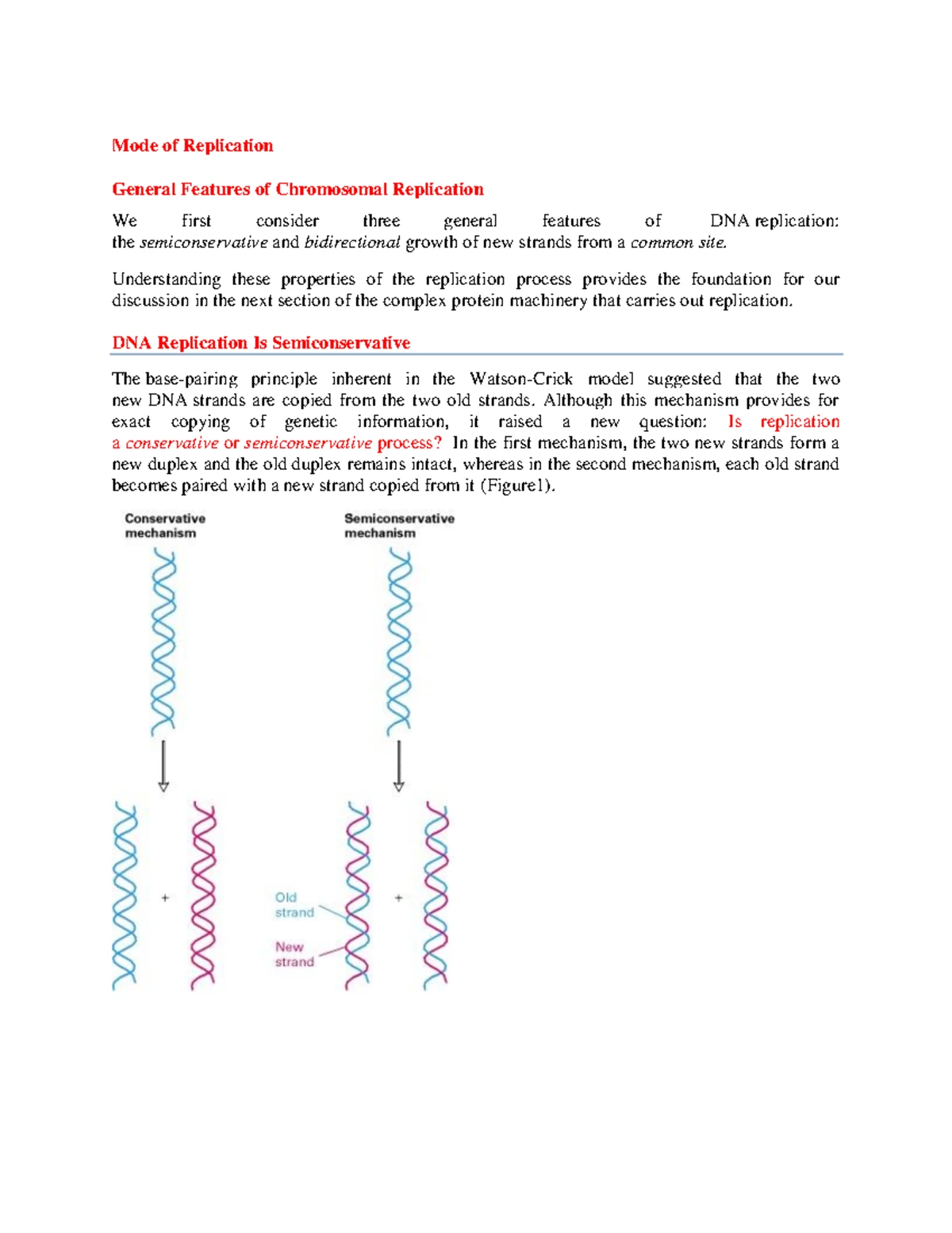 DNA Replication in Prokaryotes: Mechanisms and Key Enzymes Explained ...