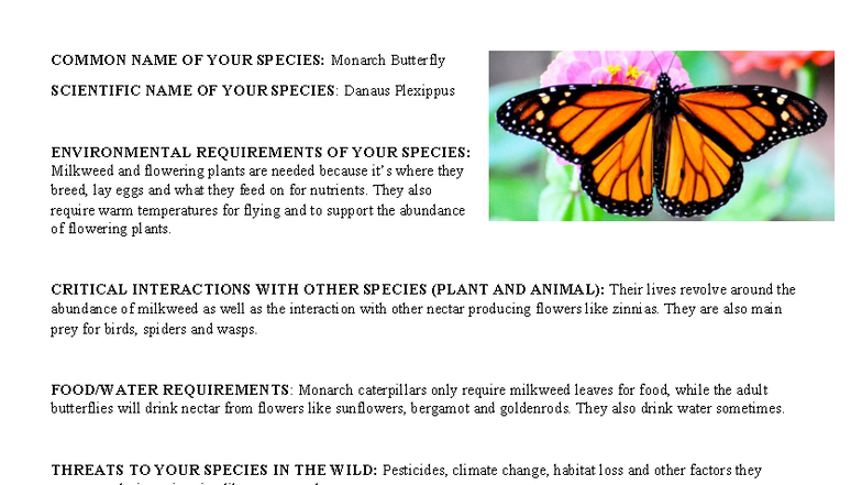 ENV115: Monarch Butterfly - Environmental Needs & Threats Analysis ...