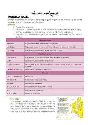 Actualidades en el sistema Rh-Hr - Gac Méd Méx Vol, Suplemento No. 3 ...
