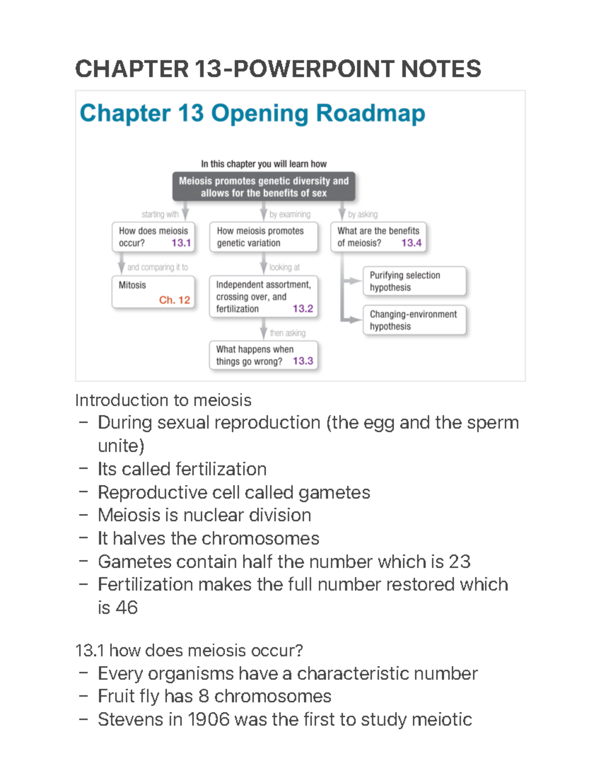 Chapter 13- Powerpoint Notes - – – – – – – – – – – CHAPTER 13 ...