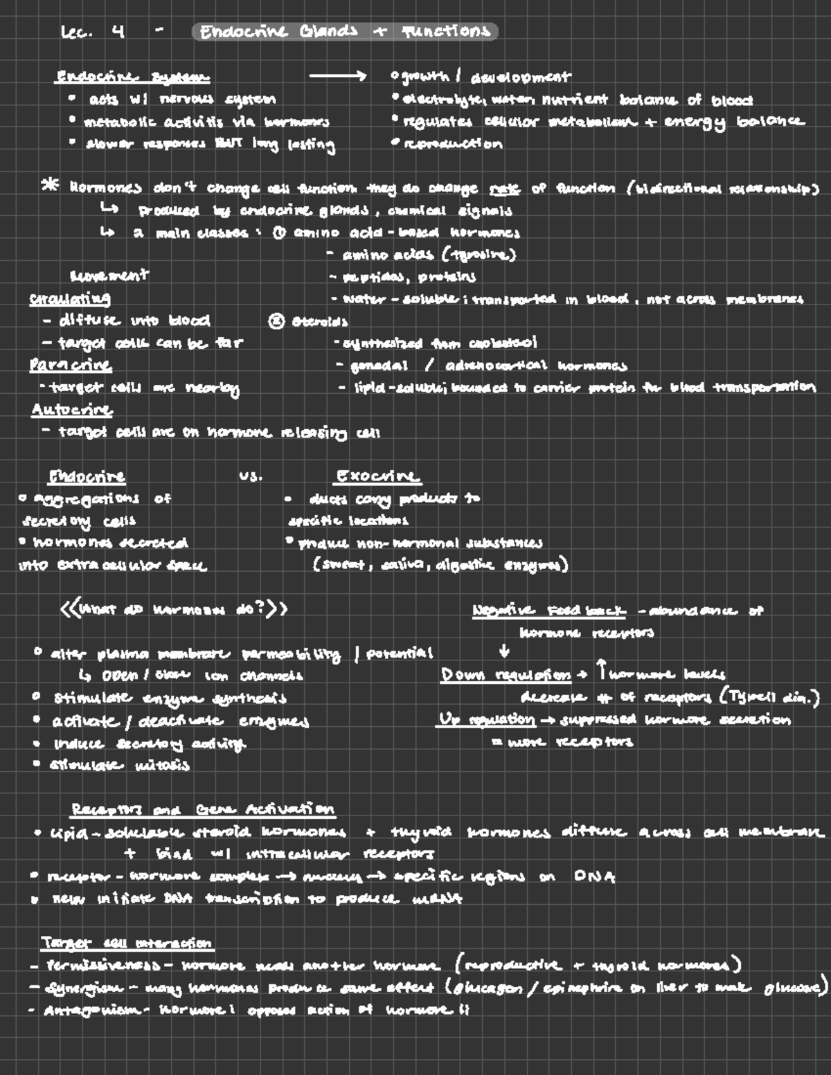 Exam Prep Lecture Notes 1-5 - Lec. 4 - Endocrine Glands + Functions ...