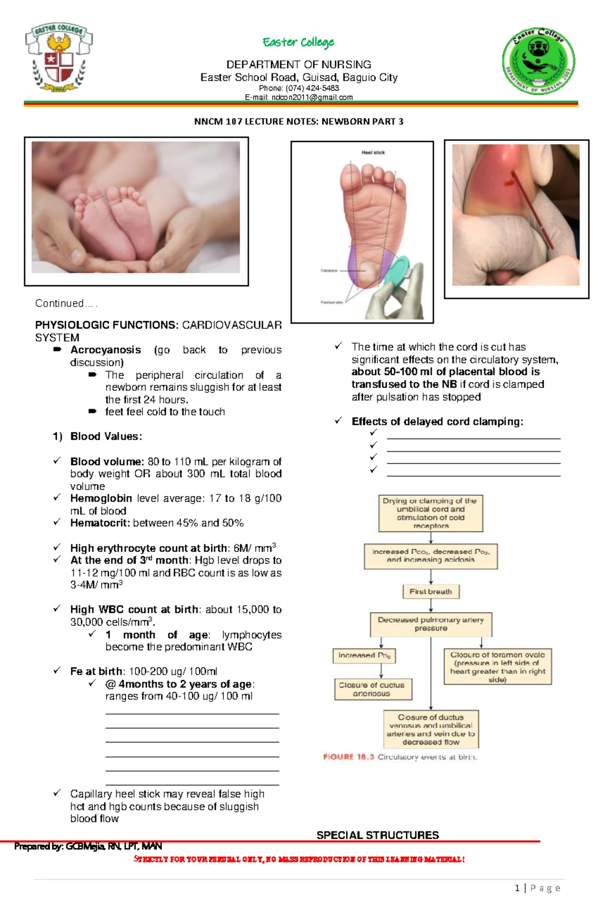 CS 1001 Pregnancy Pathophysiology: Cesarean Section Insights - Studocu