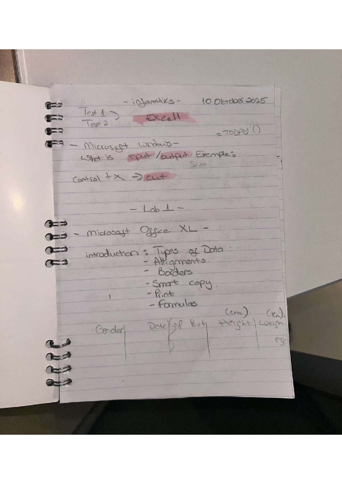 Informatics 10: Excel Lab Test 1 - Data Analysis Techniques - Studocu