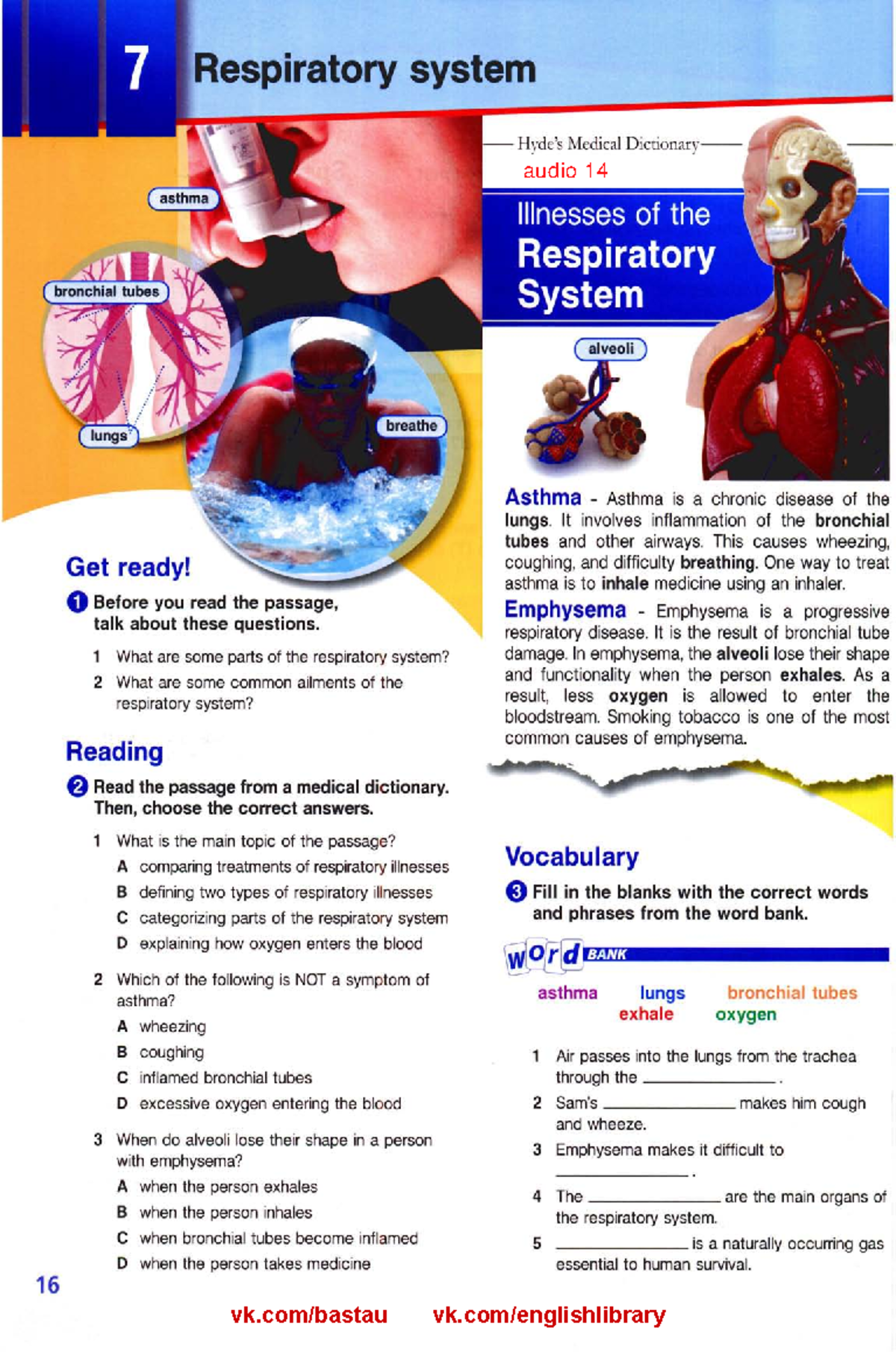 Module 2 - Teoria: Respiratory System & Common Illnesses - Studocu