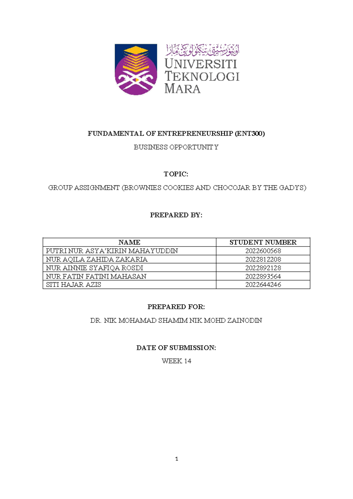 ENT300 - Group Assignment: Business Opportunity for N.A Brownies ...