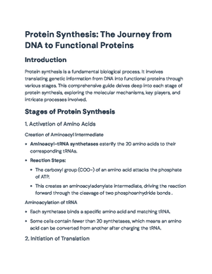 DNA and RNA Structure, Function, and Protein Synthesis - BIO 101 Notes ...