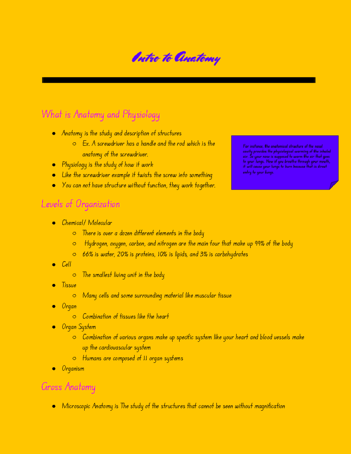 Intro To Anatomy Chapter 1 Intro To Anatomy What Is Anatomy And