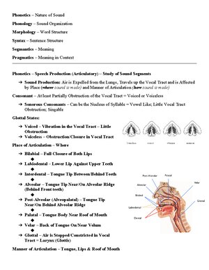 Understanding English Vowels & Suprasegmentals: Phonetics Overview ...