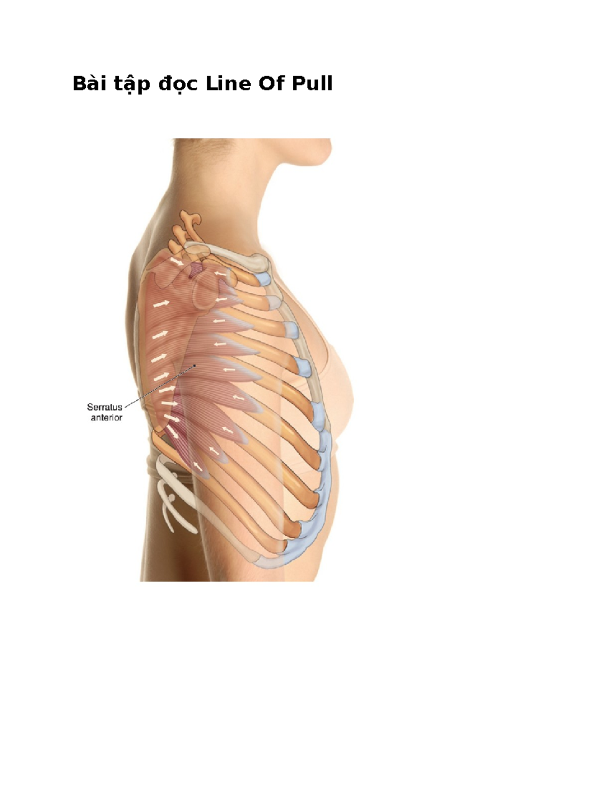 Bài tập đọc Line Of Pull - jjj - social psychological - Bài tập đọc ...
