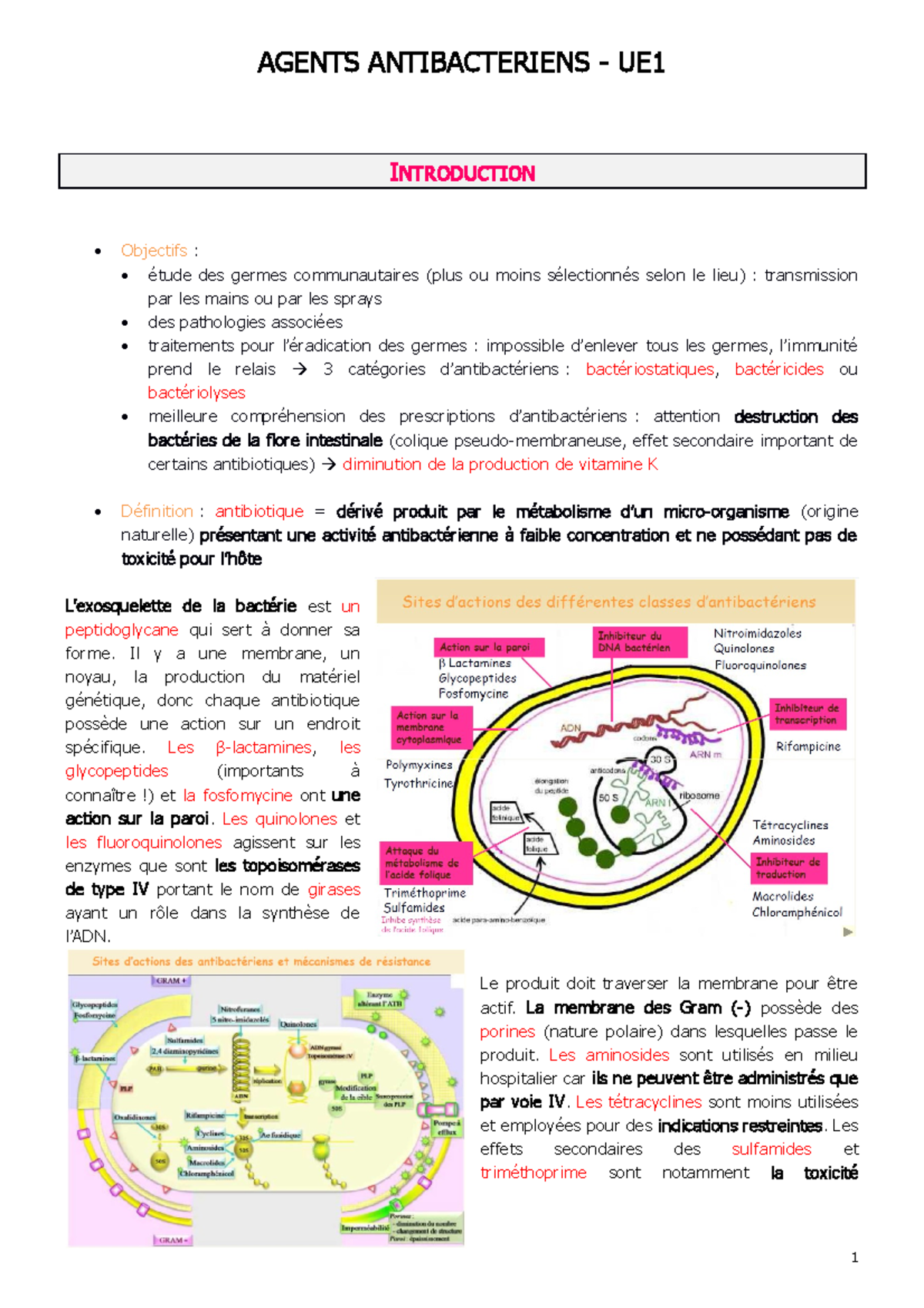 Étude des Agents Antibactériens - UE1: Caractérisation et Mécanismes ...