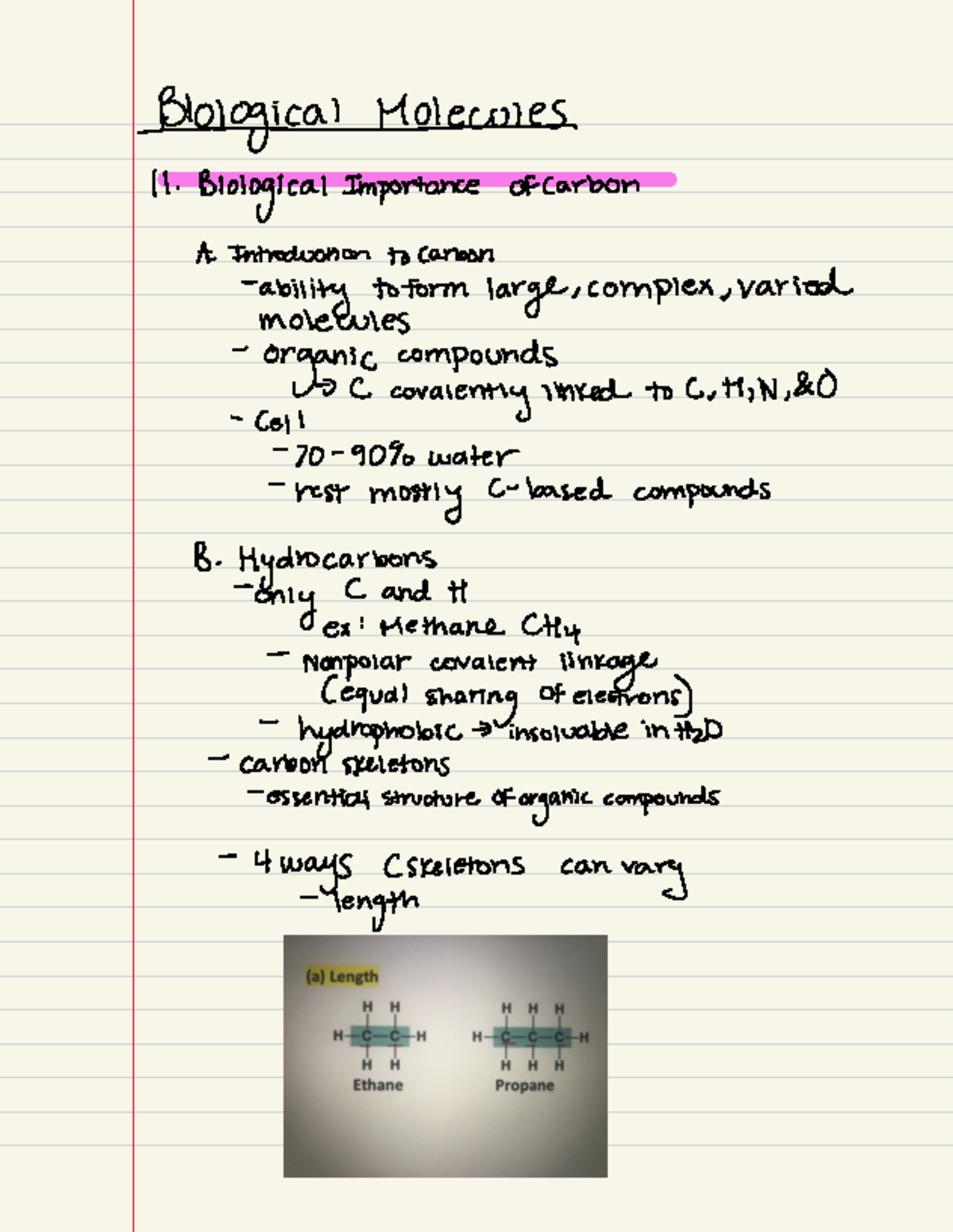 Biological Molecules Overview: Key Concepts and Structures - Studocu
