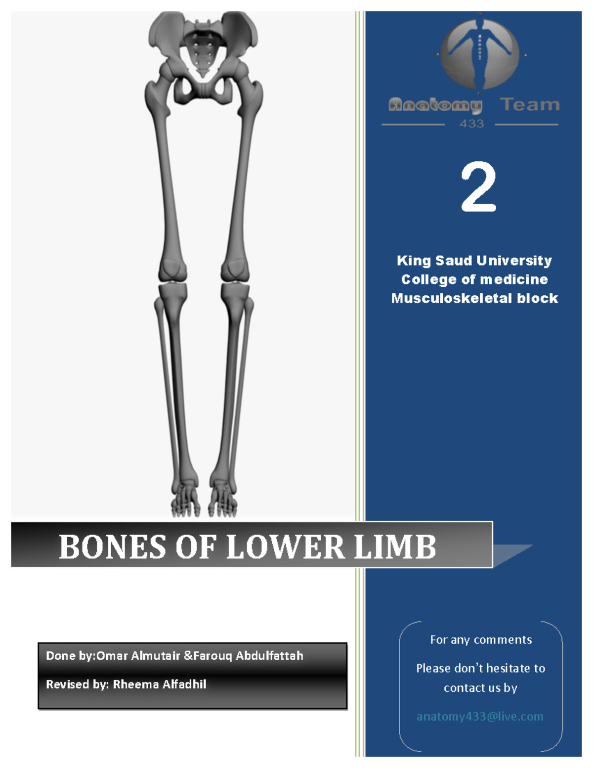 Bones of the Lower Limb Notes (ANAT 433) - King Saud University - Studocu