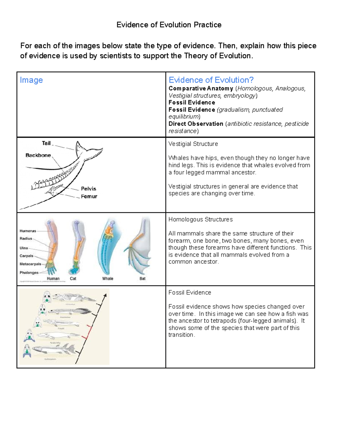 Analogous Science Charts at ₹ 150/piece | विज्ञान के लिए चार्ट in New Delhi  | ID: 7640108297, image size:1200x1553