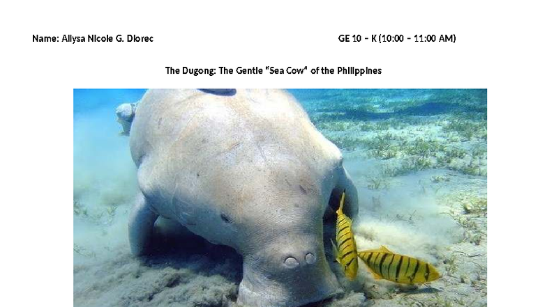 GE 10 K (10:00-11:00 AM) Final Exam: The Dugong's Role in Marine ...