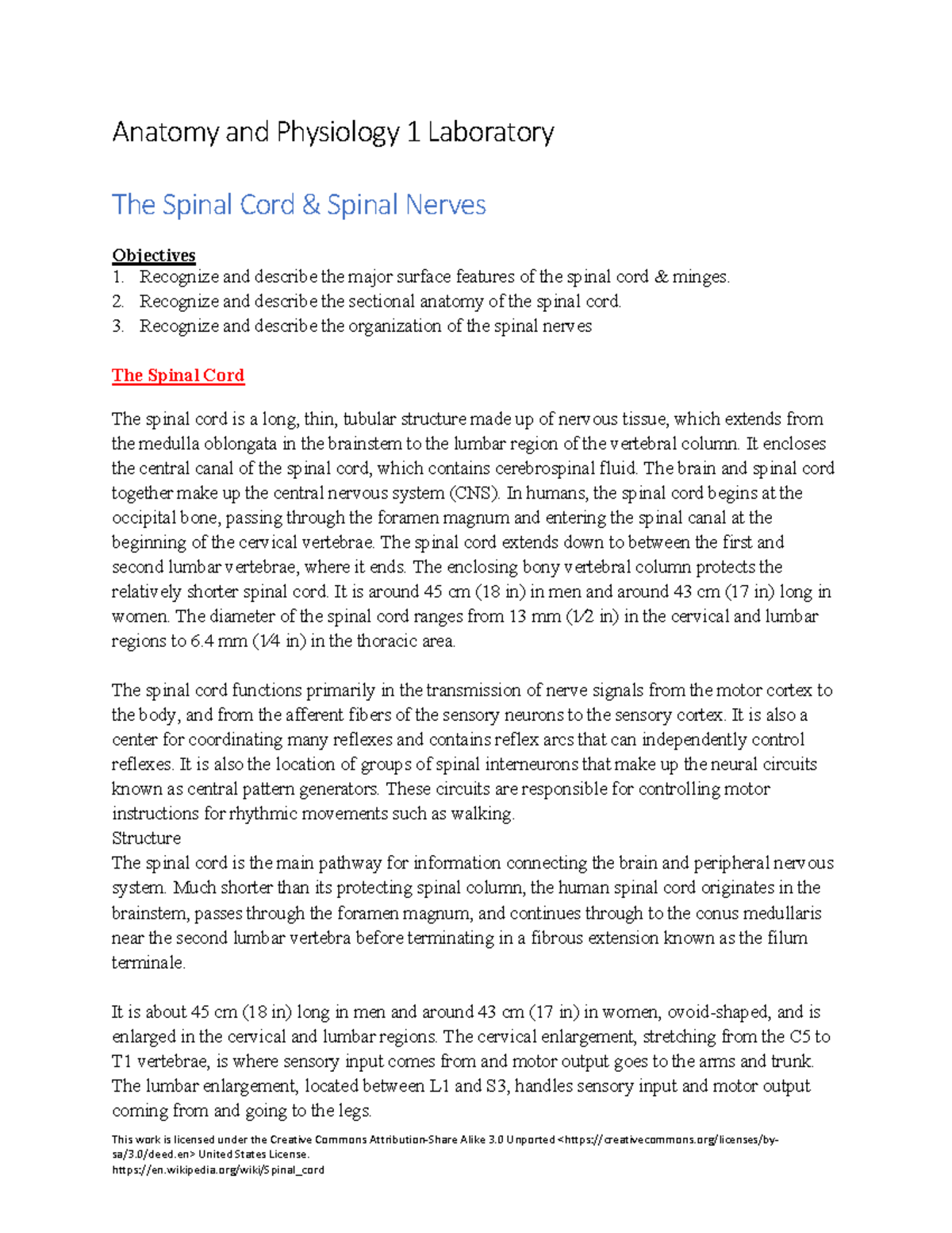 AP 1 - Spinal Cord and Nerves: Structure and Function Overview - Studocu