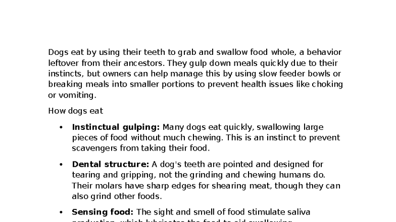 Canine Anxiety Eating Habits Analysis
