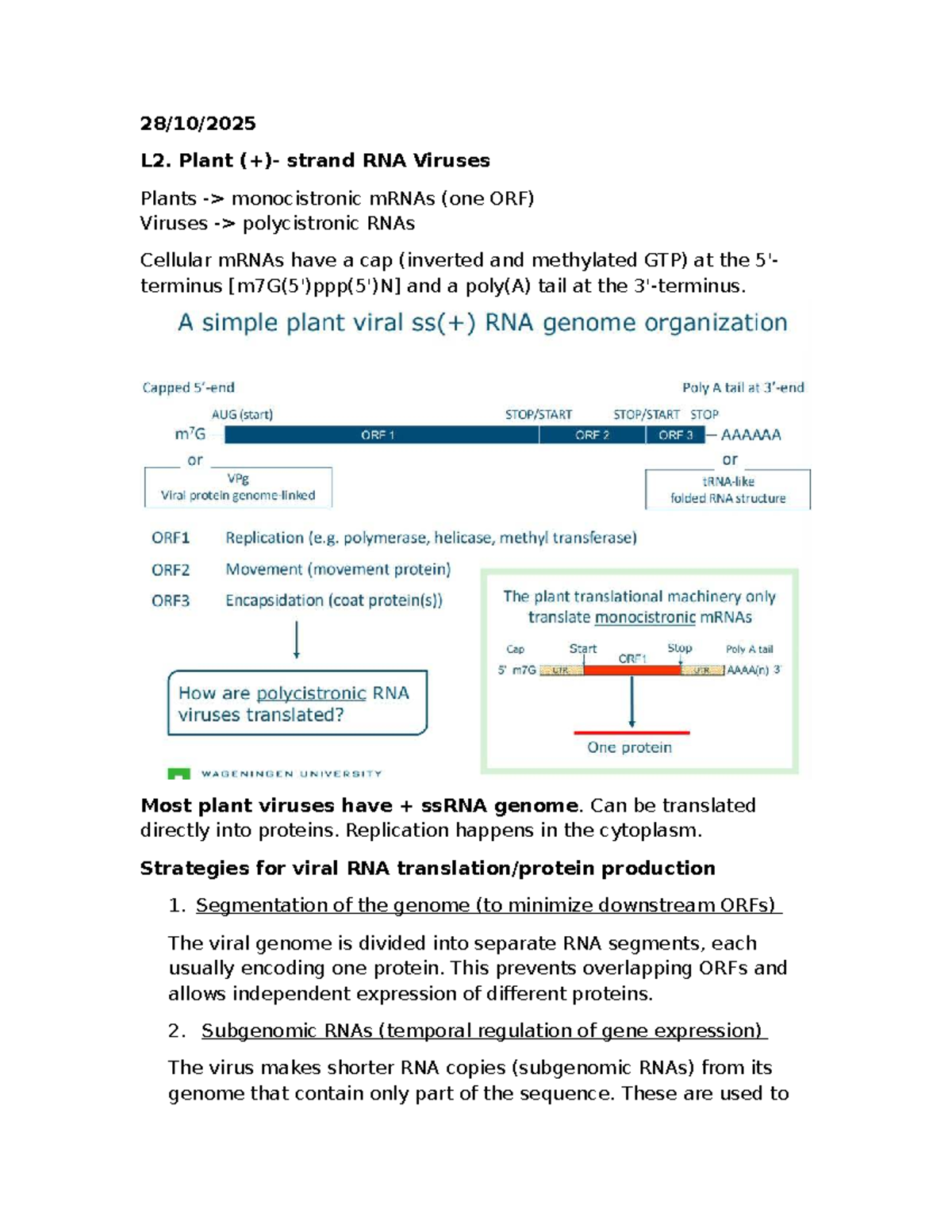 L2. Lecture 2: Molecular Virology of Plant RNA Viruses - Studeersnel