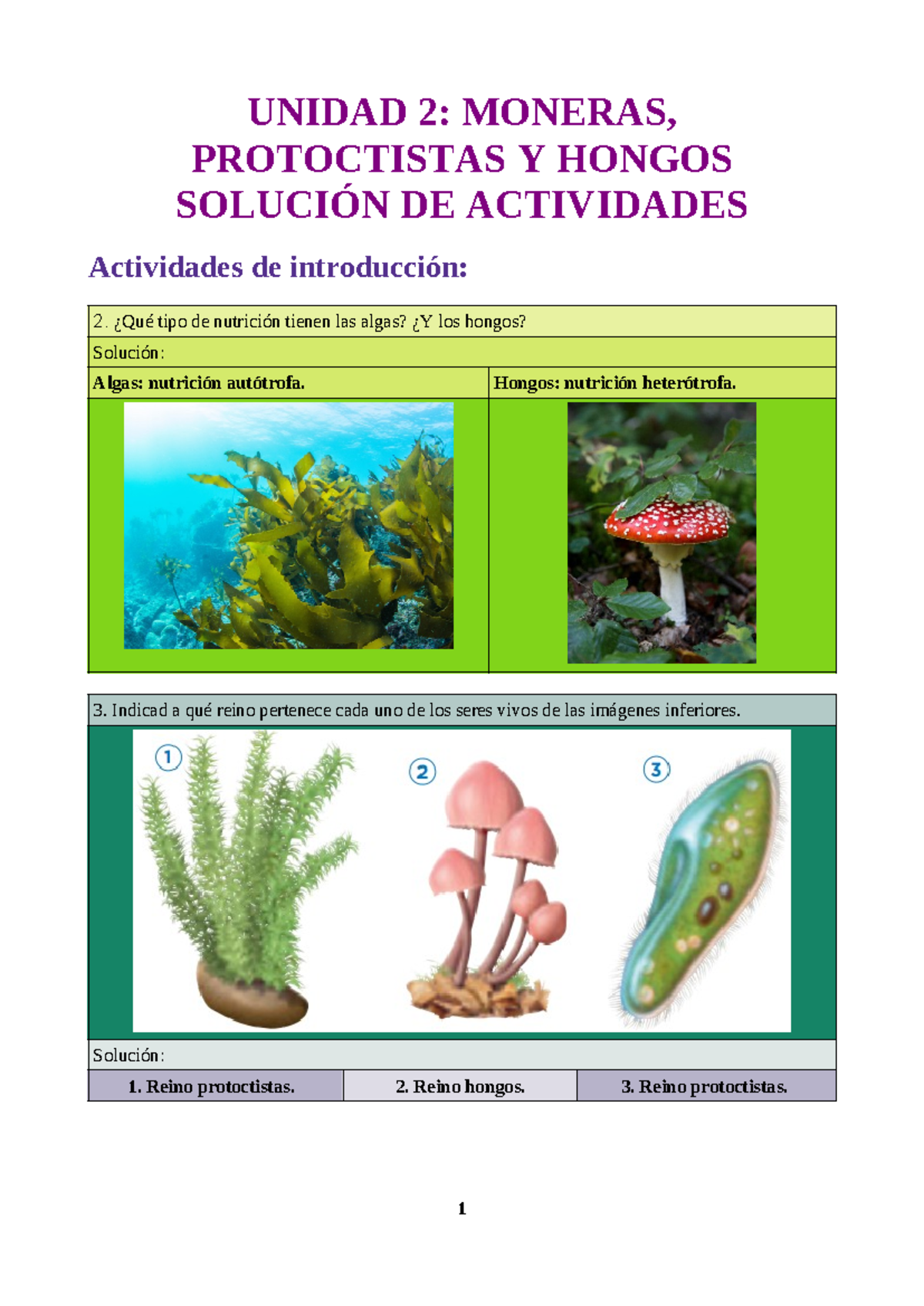 Soluciones de Actividades de Biología - Ud2 1º ESO - Studocu