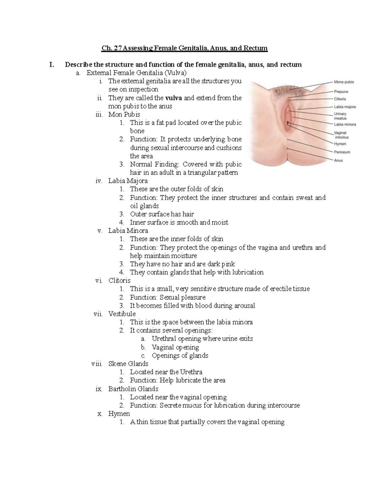 Final - Ch. 27 - Study Guide on Female Genitalia, Anus, and Rectum - Studocu