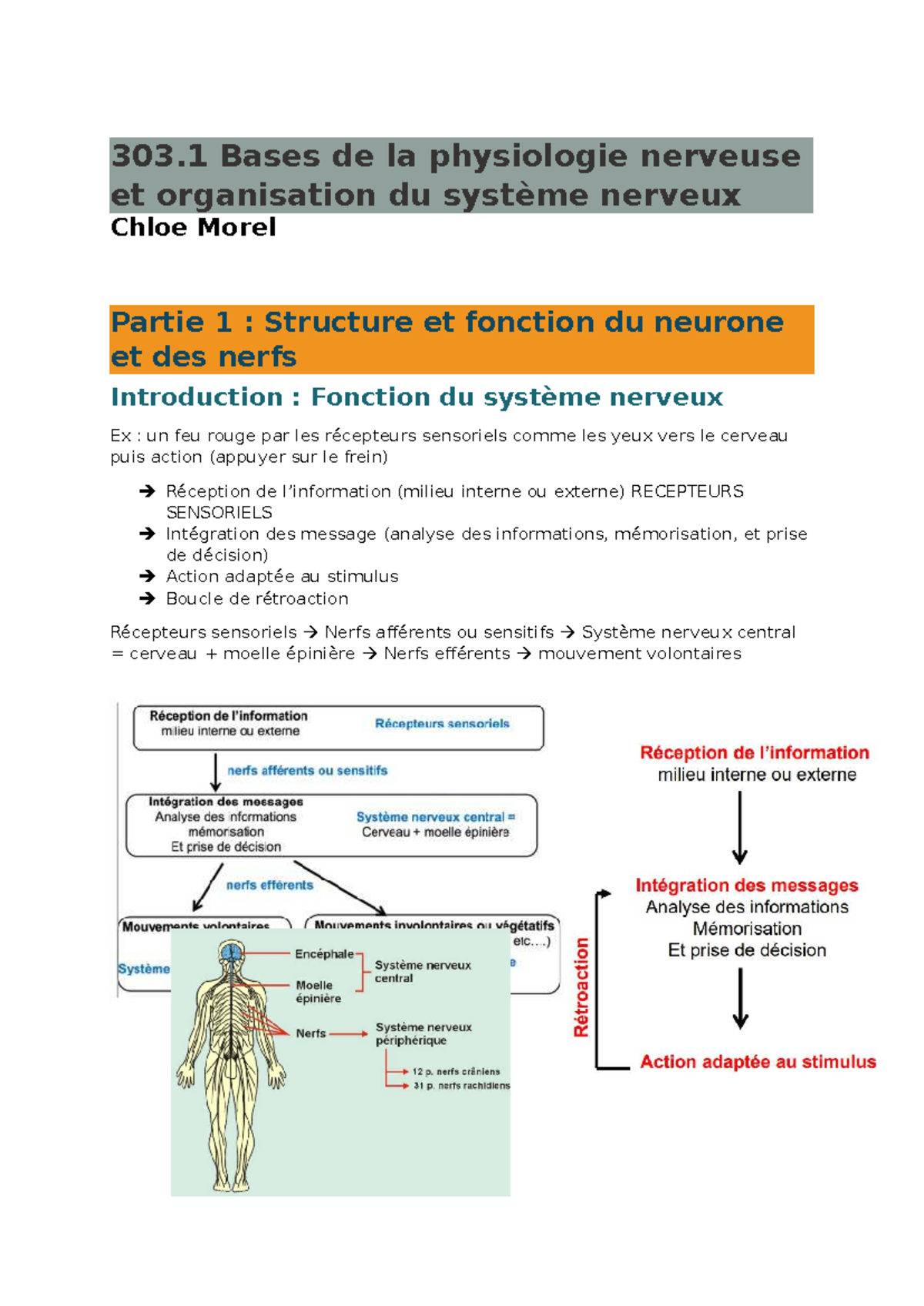 303.1 Bases de la Physiologie Nerveuse : Structure et Fonction des ...