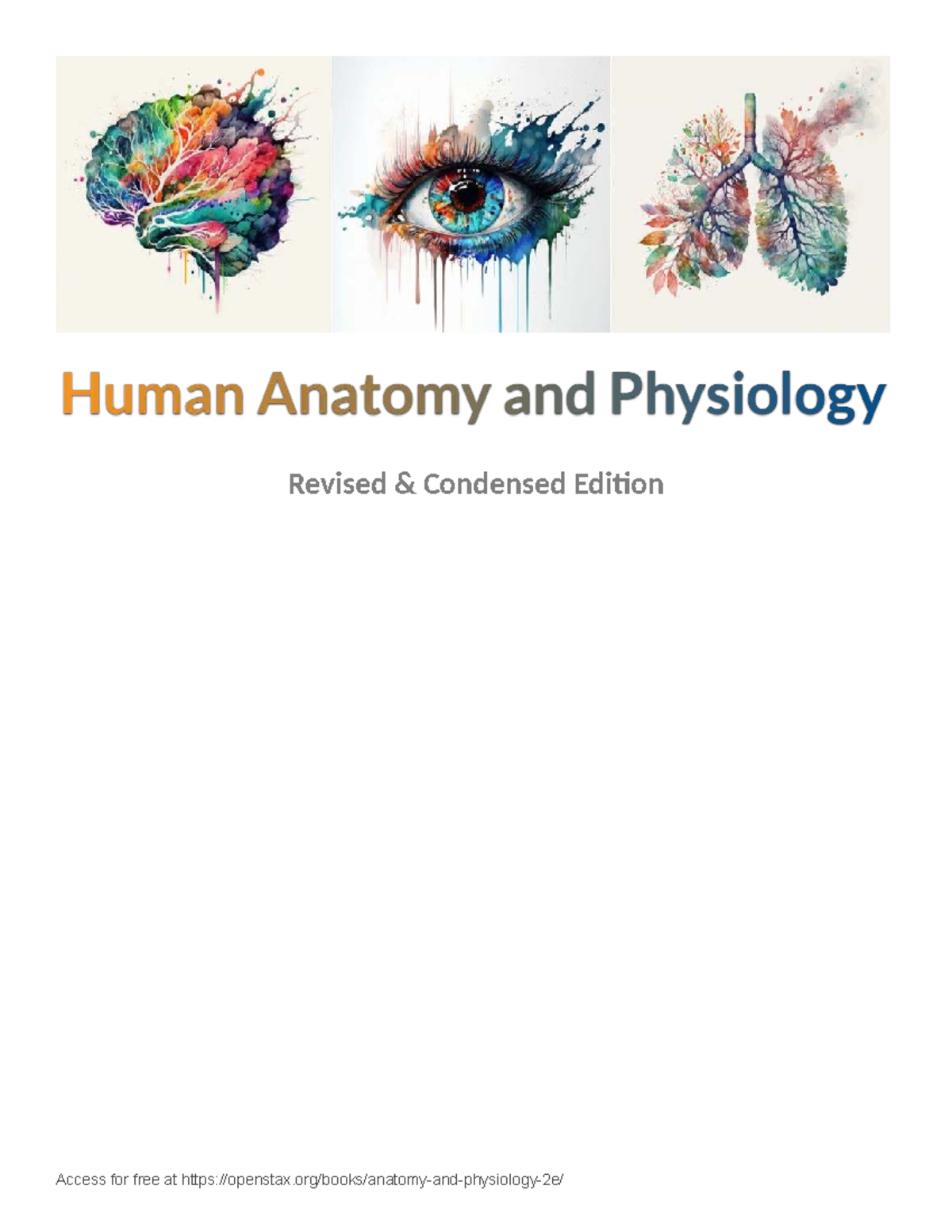 Anatomy and Physiology 2e: Chapter 4 - Tissue Level of Organization ...