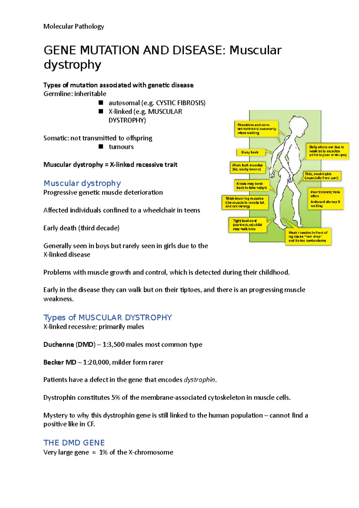 Molecular Pathology GENE Mutation AND Disease - Molecular Pathology ...
