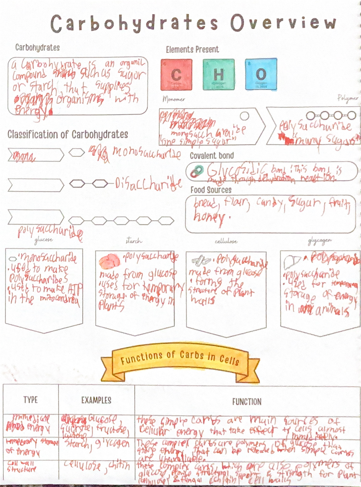Final Exam Study Guide for CS101: Key Topics and Resources ...