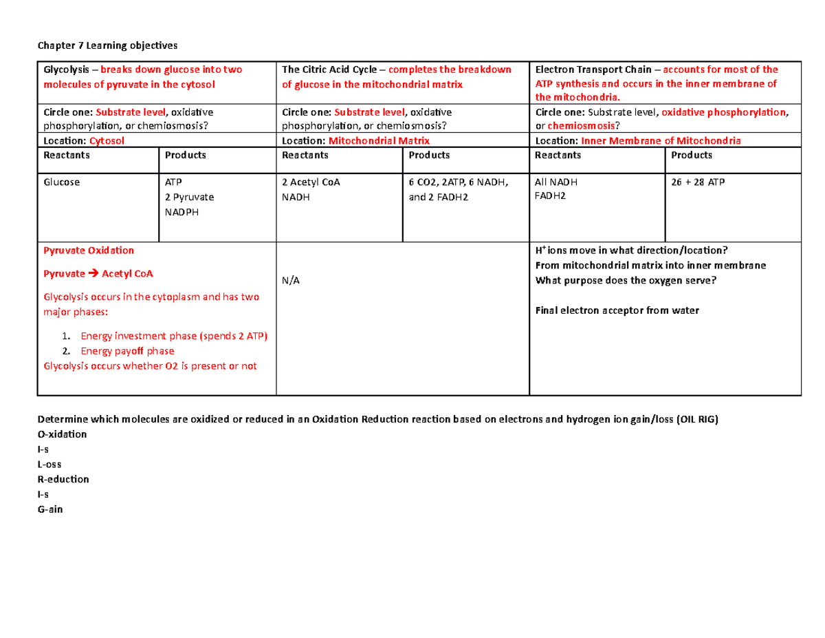 BIOL 1406 Chapter 7 Learning Objectives on Glycolysis & Respiration ...