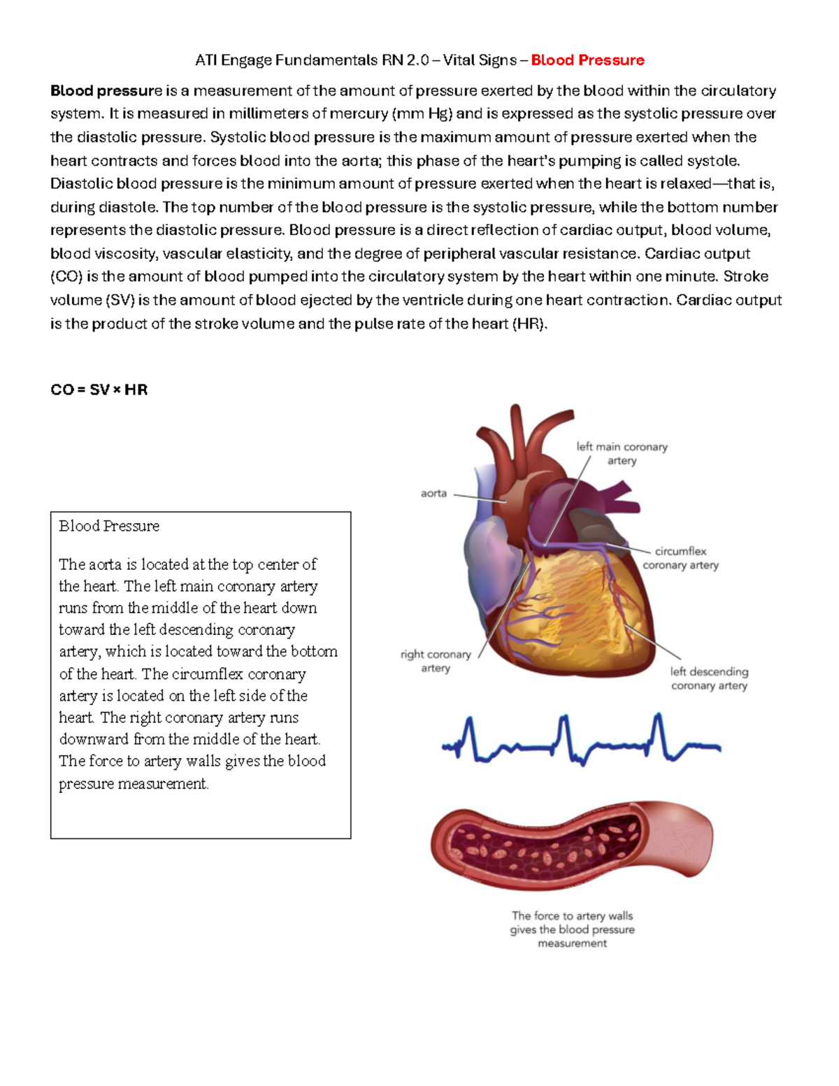 ATI Engage Fundamentals RN 2.0: Blood Pressure & Vital Signs Exam Notes ...