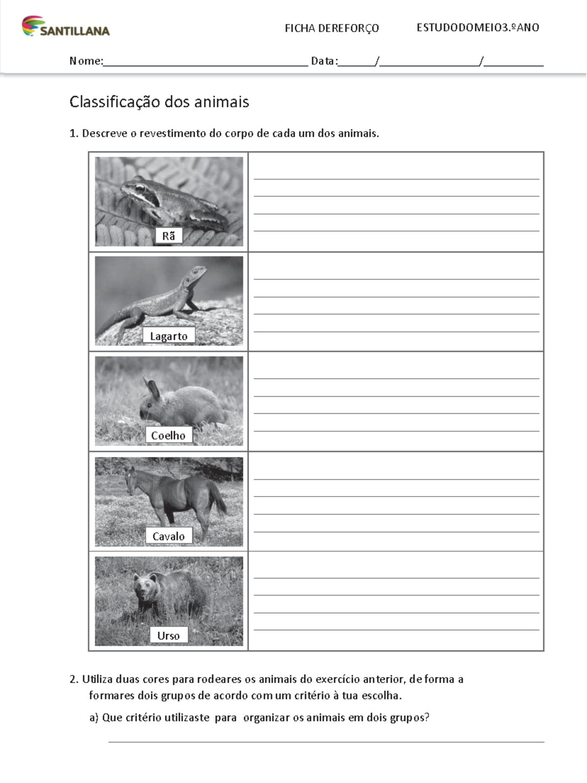 Ficha de Reforço - Classificação dos Animais 3.º Ano - Studocu