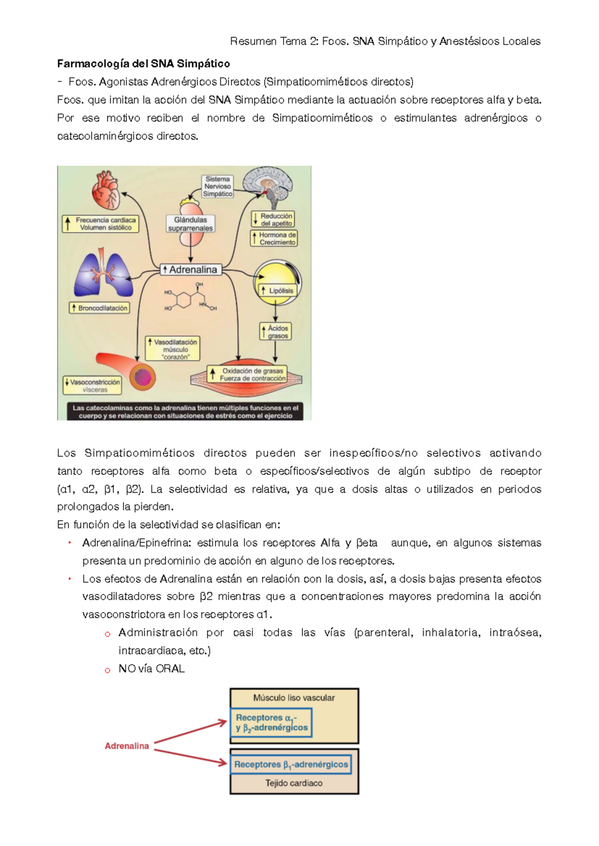 Resumen Tema 2: Fármacos del SNA Simpático y Anestésicos ...