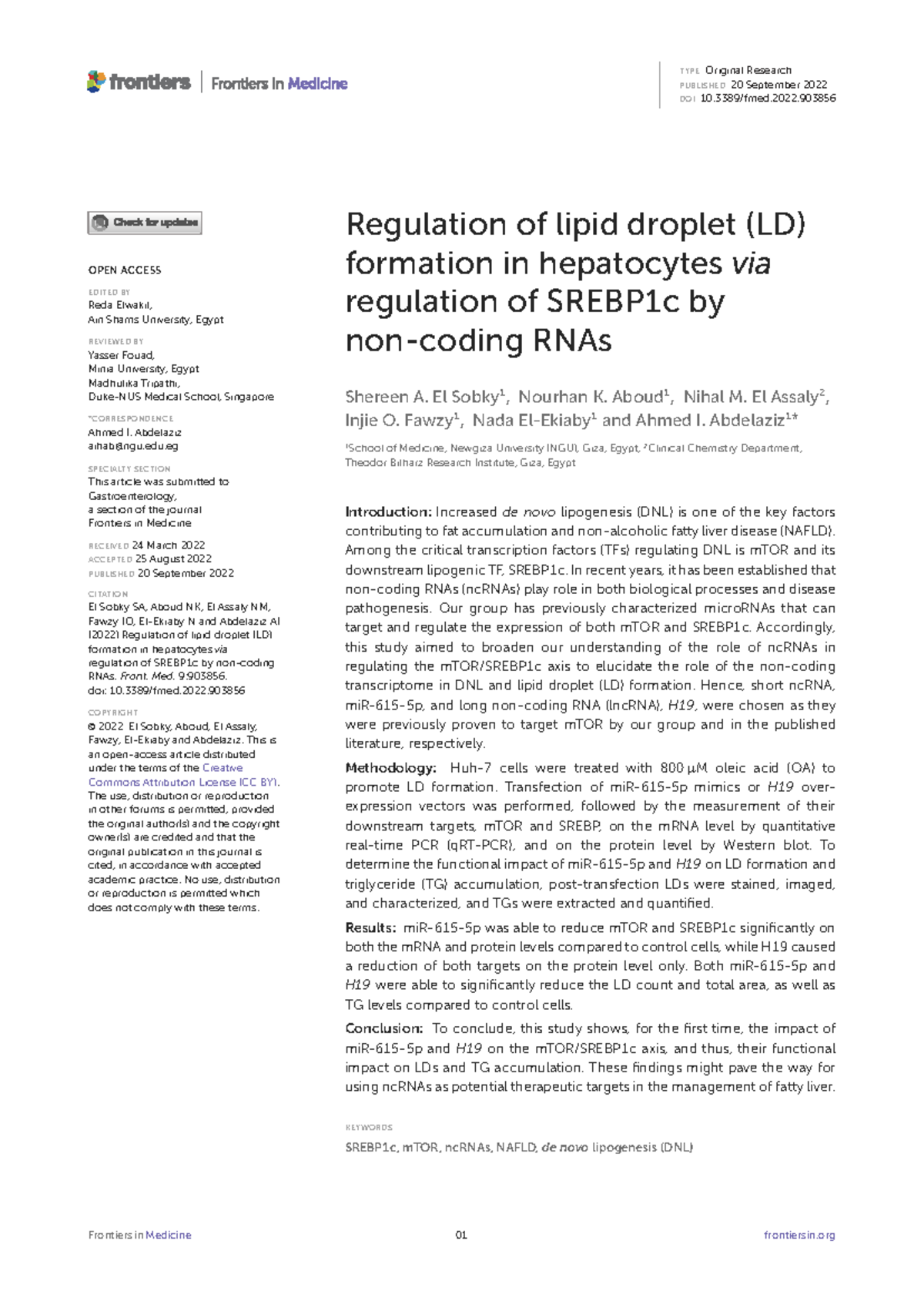 Regulation of Lipid Droplet Formation in Hepatocytes via SREBP1c RNAs ...