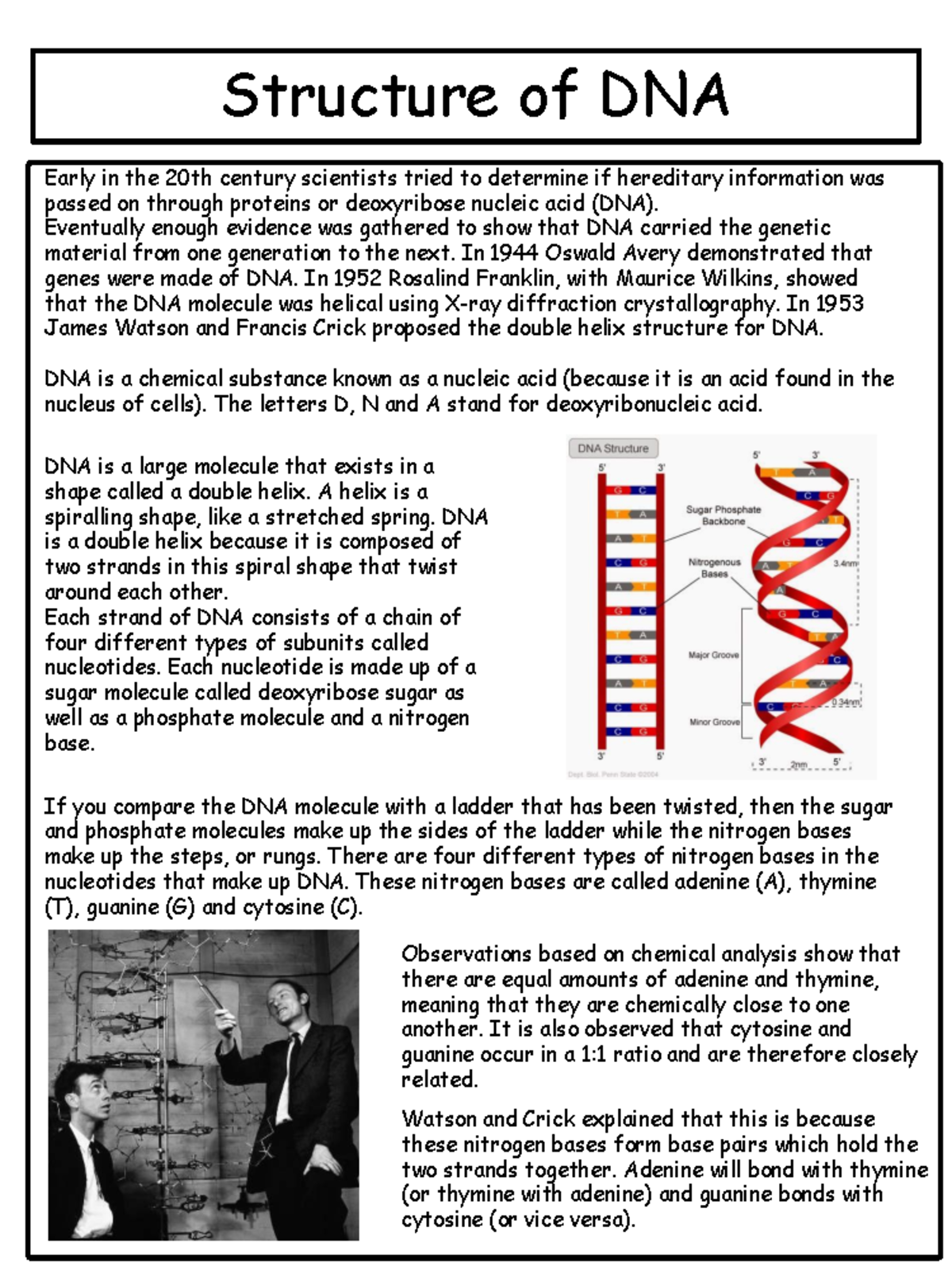 Structure of DNA: Key Discoveries and Double Helix Model - Studocu