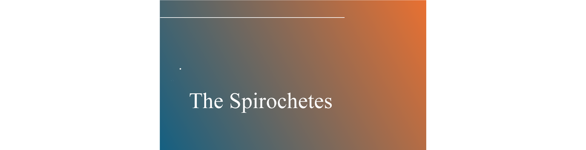 The Spirochetes Phylum Spirochaetes: Overview and Key Characteristics ...