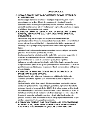 [Solved] Cual Metabolito Relaciona Al Ciclo De Krebs Con El Ciclo De La ...