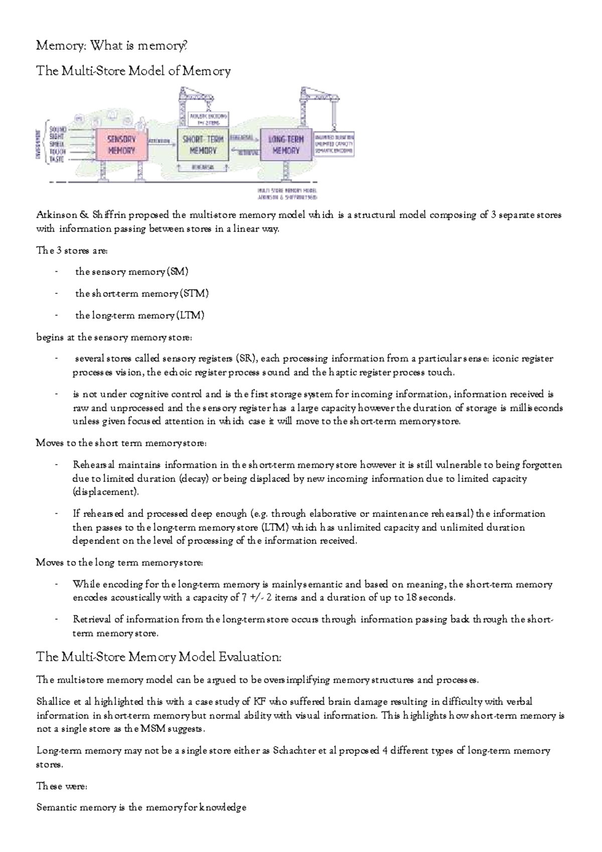 Memory: Understanding the Atkinson-Shiffrin Model and Its Implications ...