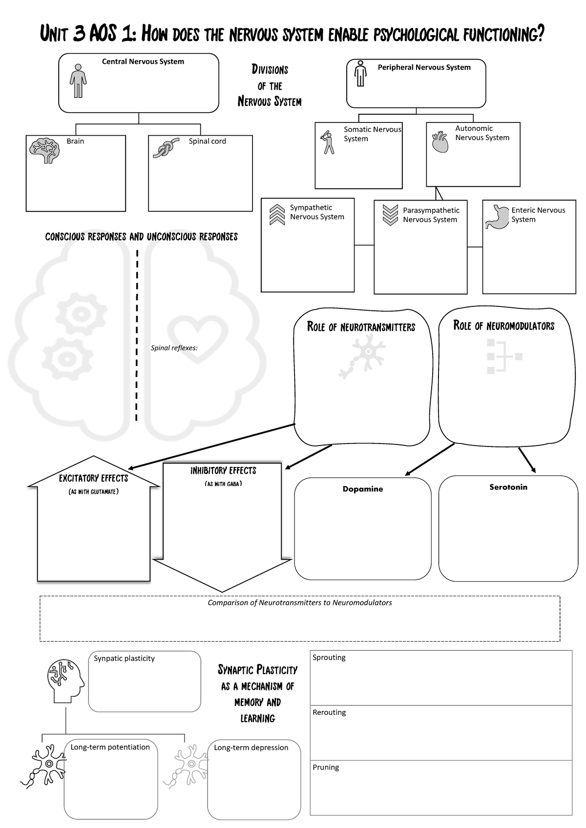 Revision Poster Unit3AOS1 - Unit 3 AOS 1: How does the nervous system ...