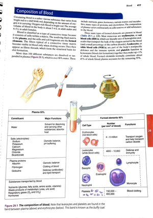 Blood Composition and Pathologies Review Sheet (Exercise 29) - Studocu