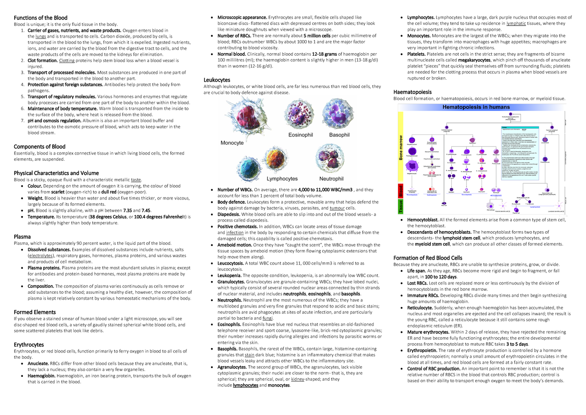 Blood - Study for state exam - Functions of the Blood Blood is unique ...