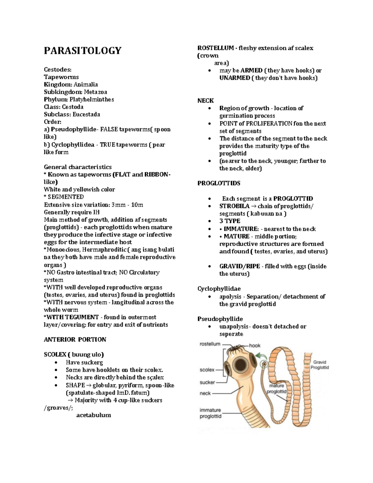 CST 101 Parasitology Lecture: Understanding Cestodes and Their ...