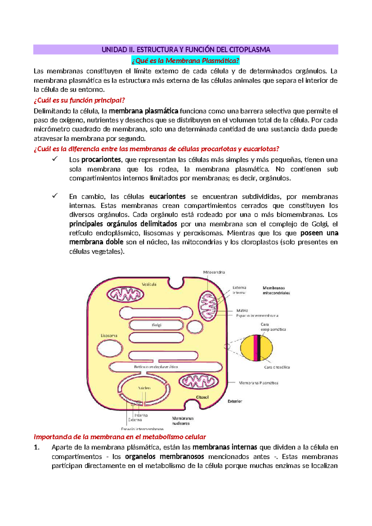 Unidad II: Estructura y Función de la Membrana Plasmática y Citoplasma ...