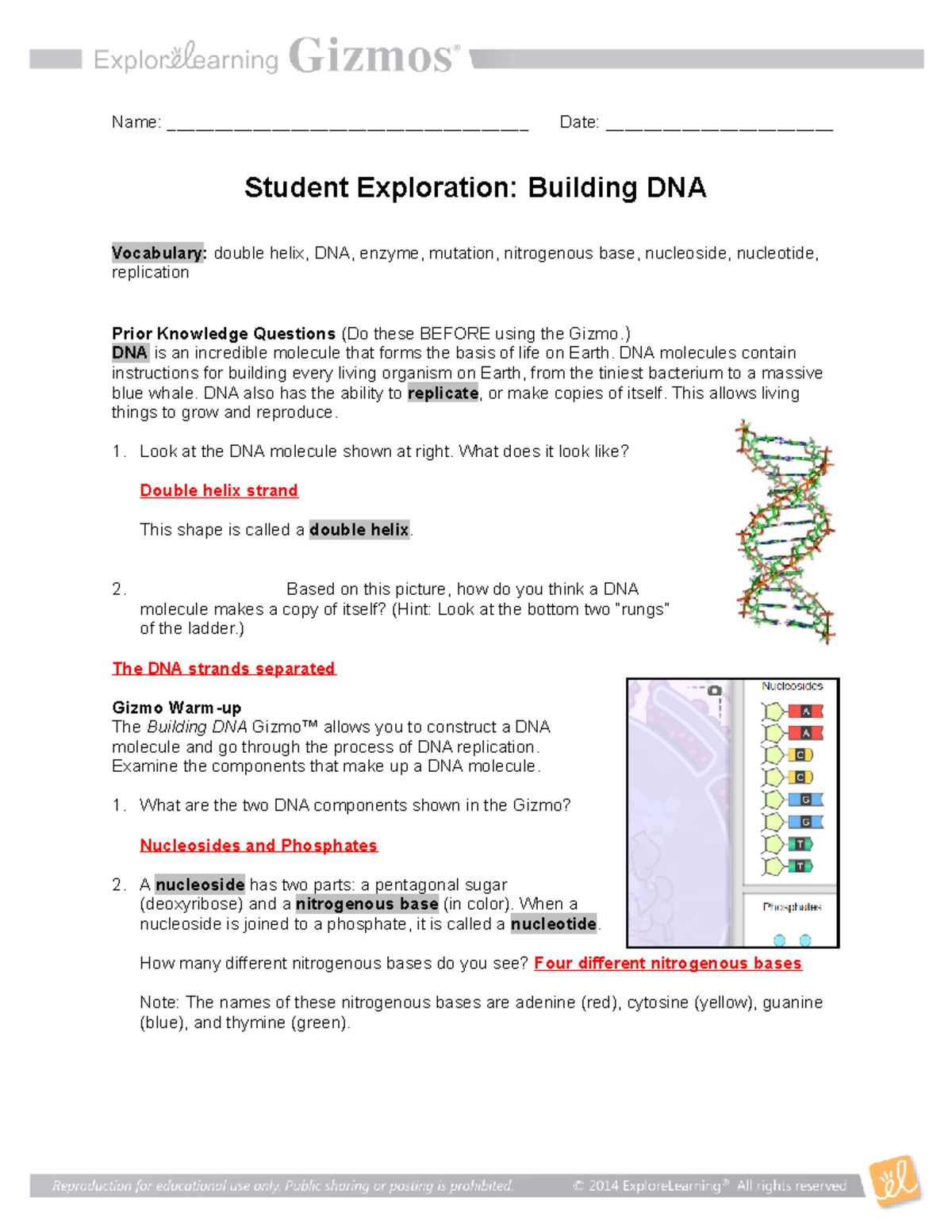 Building DNA Gizmo - Name: ______________________________________ Date