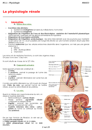 Fonction rénale - cours physiologie du système rénal, M.Flamment ...