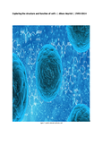 Unit 5 - Cell Biology - Studocu