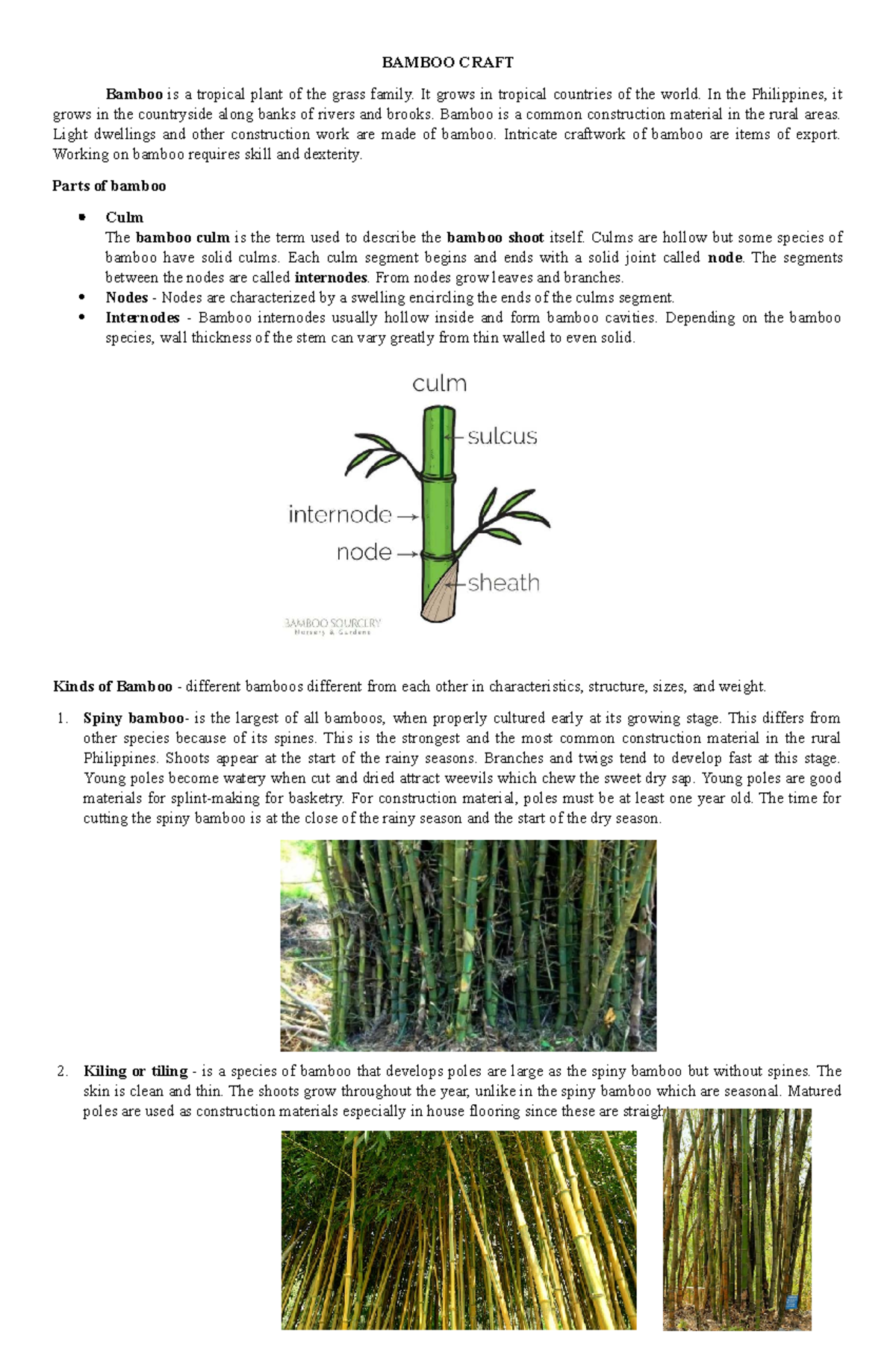 Module 5 ICC: Exploring Bamboo Craft and Its Varieties - Studocu